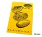 Preview: Ersatzteilkatalog Jawa 125 150 Typ 351 352 deutsch Preview: Ersatzteilkatalog Jawa 125 150 Typ 351 352 deutsch