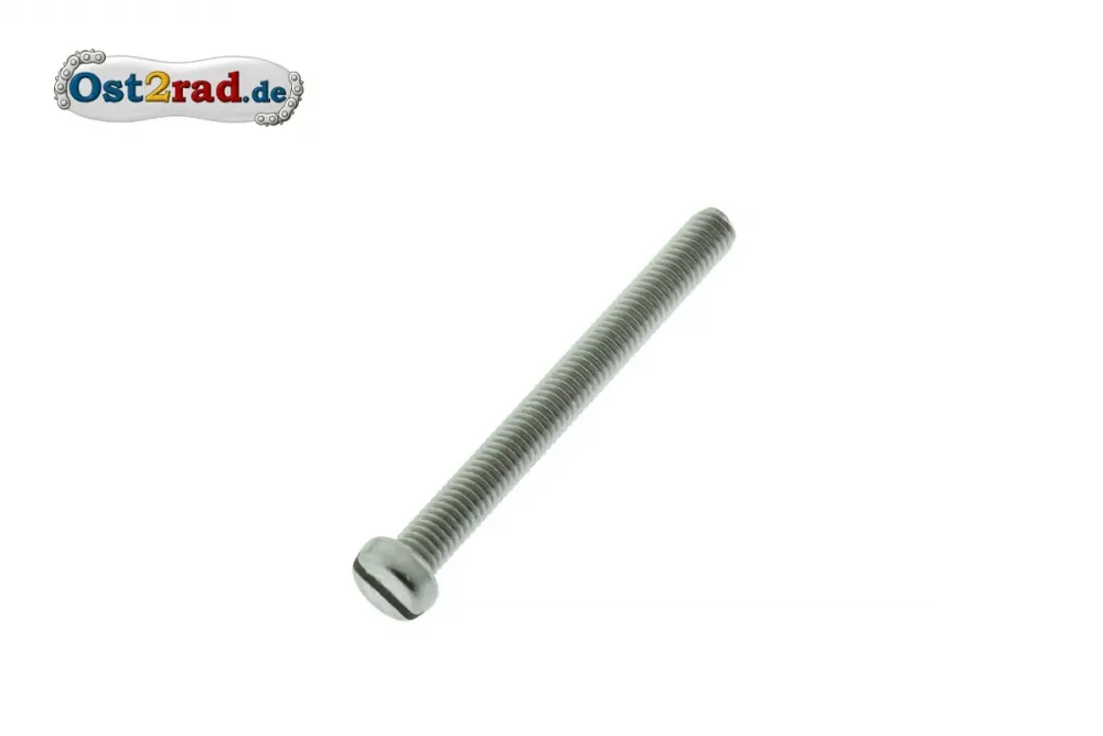 Schlitzschraube Zylinderschraube M6x75 Edelstahl Schlitzschraube Zylinderschraube M6x75 Edelstahl