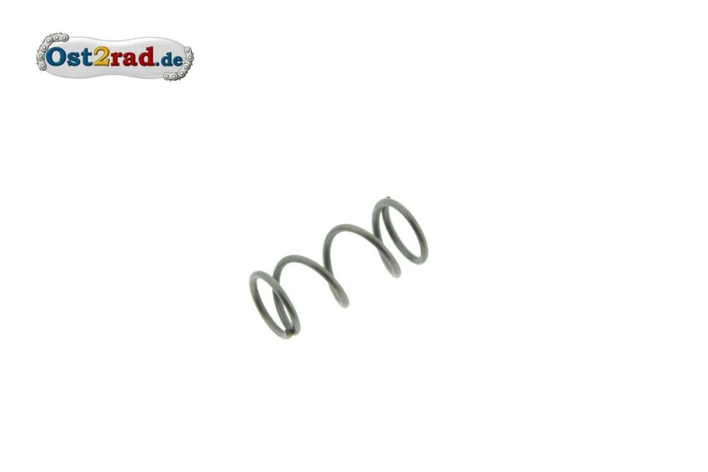Feder für alle Tupfer Oldtimer Vergaser passend für MZ RT BK Simson AWO Feder für alle Tupfer Oldtimer Vergaser passend für MZ RT BK Simson AWO