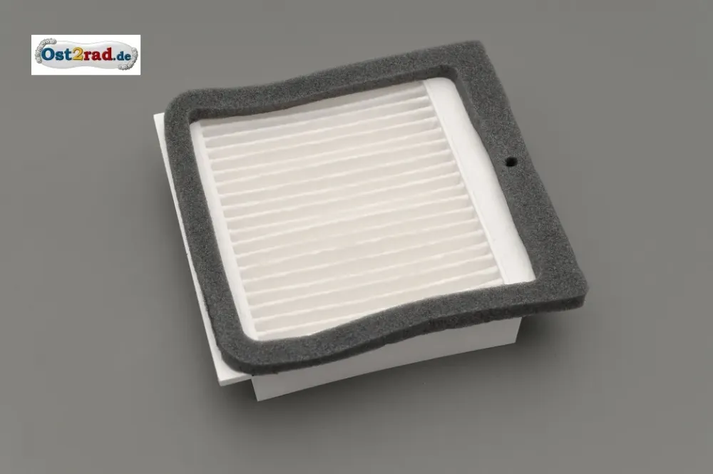 Luftfilter mit Gitter MuZ RT 125 und Skorpion Luftfilter mit Gitter MuZ RT 125 und Skorpion